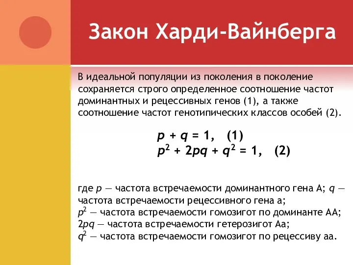 Закон Харди-Вайнберга В идеальной популяции из поколения в поколение сохраняется