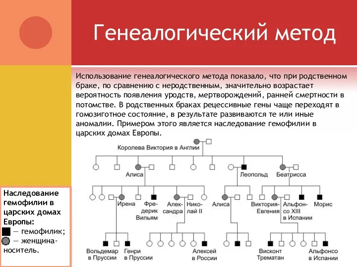 Генеалогический метод Использование генеалогического метода показало, что при родственном браке,