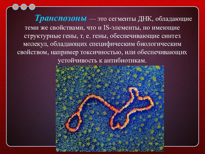 Транспозоны — это сегменты ДНК, обладающие теми же свойствами, что