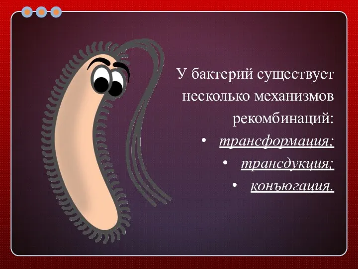 У бактерий существует несколько механизмов рекомбинаций: трансформация; трансдукция; конъюгация.