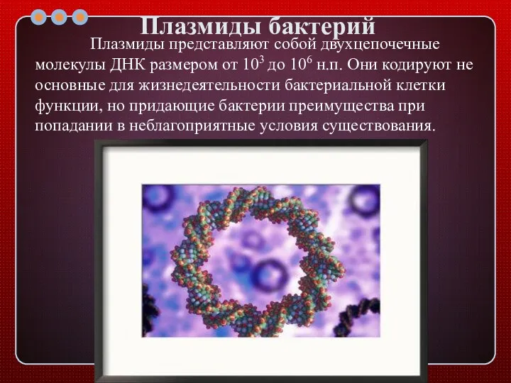 Плазмиды бактерий Плазмиды представляют собой двухцепочечные молекулы ДНК размером от