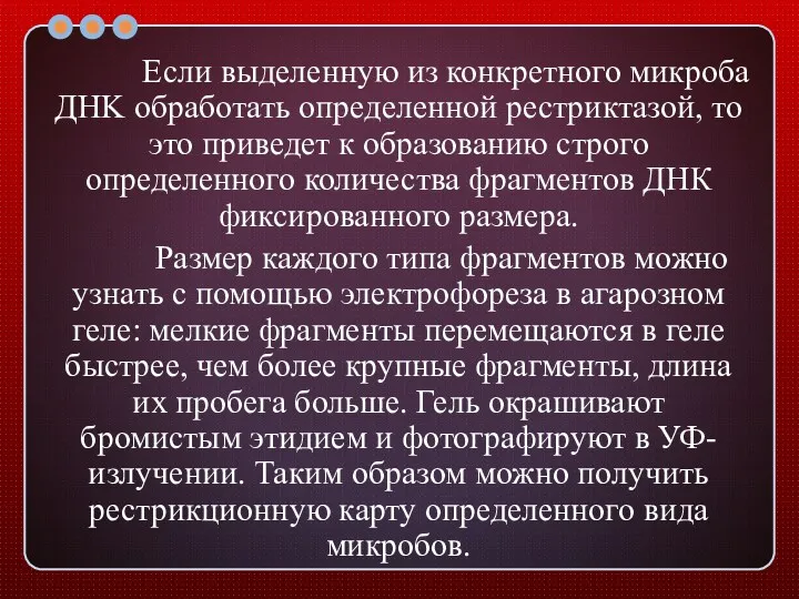 Если выделенную из конкретного микроба ДHK обработать определенной рестриктазой, то