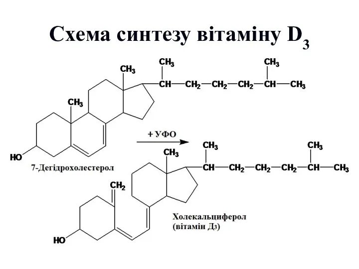 Схема синтезу вітаміну D3