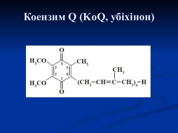 Коензим Q (KoQ, убіхінон)