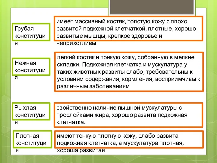 Грубая конституция имеет массивный костяк, толстую кожу с плохо развитой