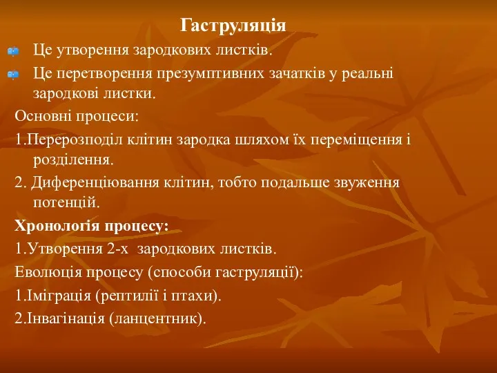 Гаструляція Це утворення зародкових листків. Це перетворення презумптивних зачатків у