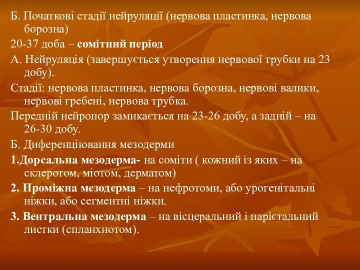 Б. Початкові стадії нейруляції (нервова пластинка, нервова борозна) 20-37 доба