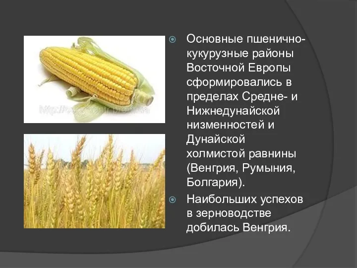 Основные пшенично-кукурузные районы Восточной Европы сформировались в пределах Средне- и