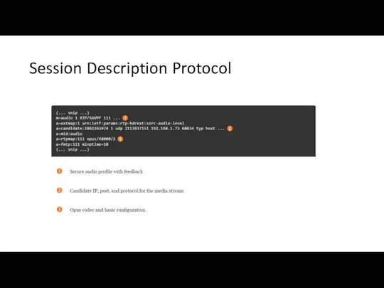Session Description Protocol