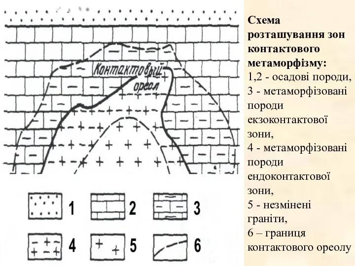 Схема розташування зон контактового метаморфізму: 1,2 - осадові породи, 3