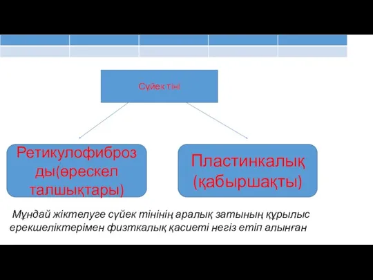 Сүйек тіні Ретикулофиброзды(өрескел талшықтары) Пластинкалық(қабыршақты) Мұндай жіктелуге сүйек тінінің аралық