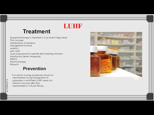 Supportive therapy is important in Lujo hemorrhagic fever. This includes: