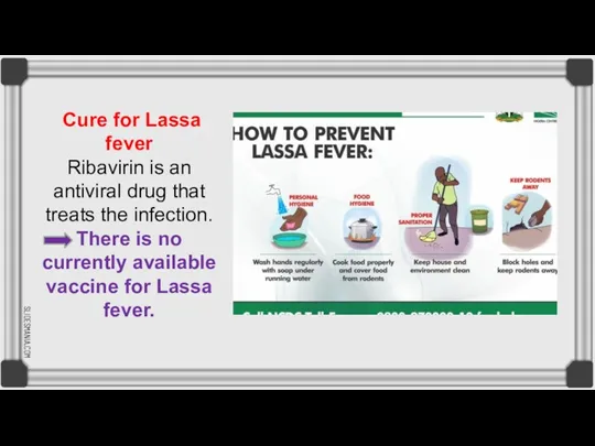 Cure for Lassa fever Ribavirin is an antiviral drug that