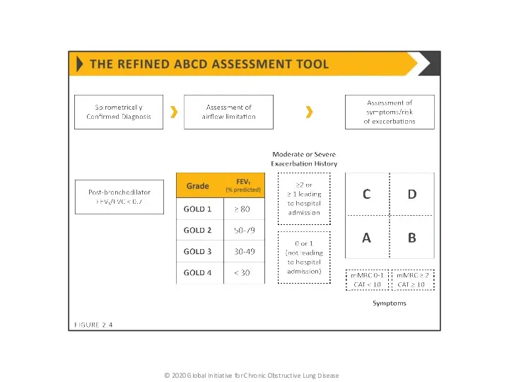 © 2020 Global Initiative for Chronic Obstructive Lung Disease
