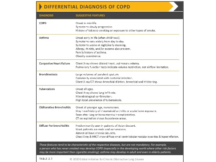 © 2020 Global Initiative for Chronic Obstructive Lung Disease