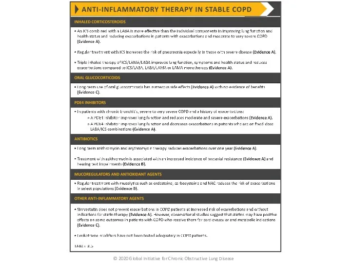 © 2020 Global Initiative for Chronic Obstructive Lung Disease