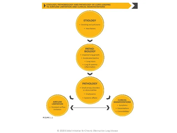 © 2020 Global Initiative for Chronic Obstructive Lung Disease