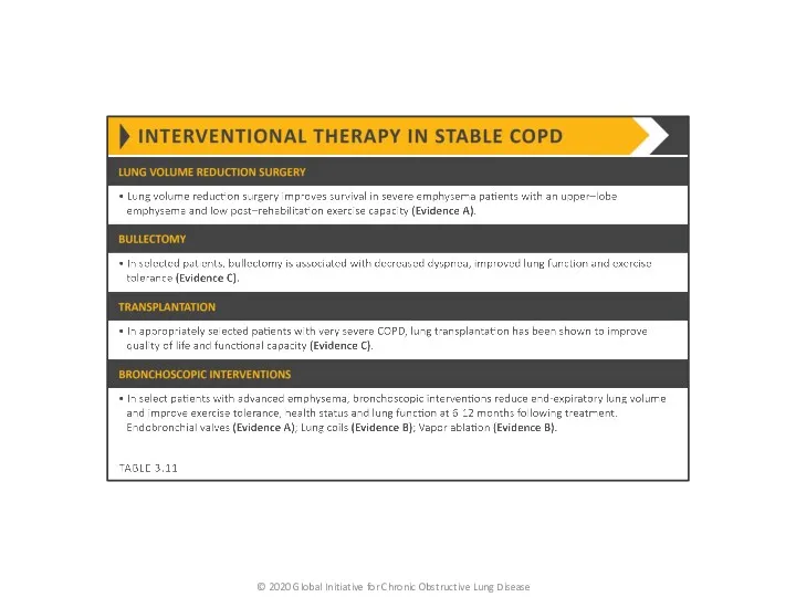 © 2020 Global Initiative for Chronic Obstructive Lung Disease