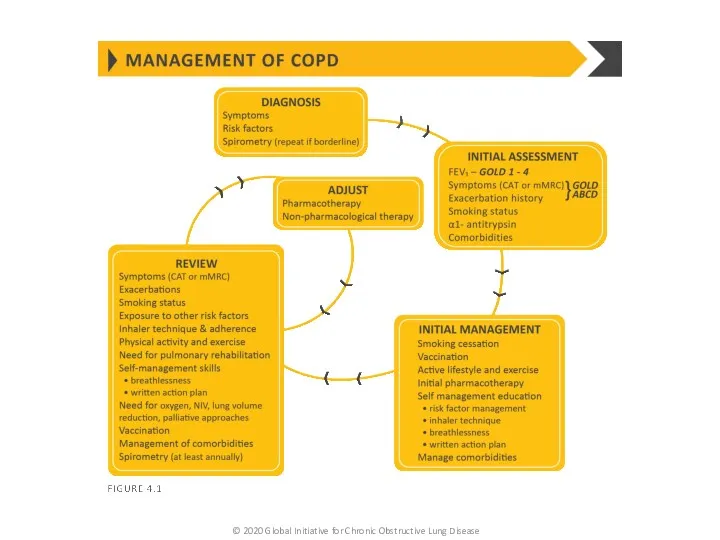 © 2020 Global Initiative for Chronic Obstructive Lung Disease