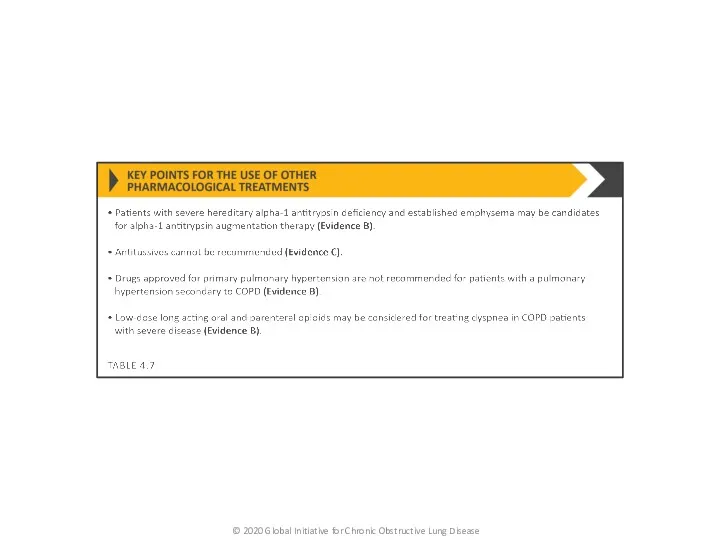 © 2020 Global Initiative for Chronic Obstructive Lung Disease