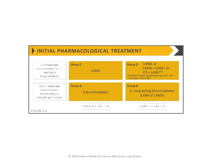 © 2020 Global Initiative for Chronic Obstructive Lung Disease