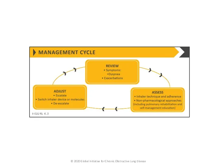 © 2020 Global Initiative for Chronic Obstructive Lung Disease