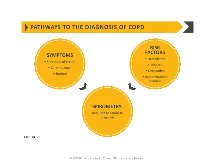 © 2020 Global Initiative for Chronic Obstructive Lung Disease