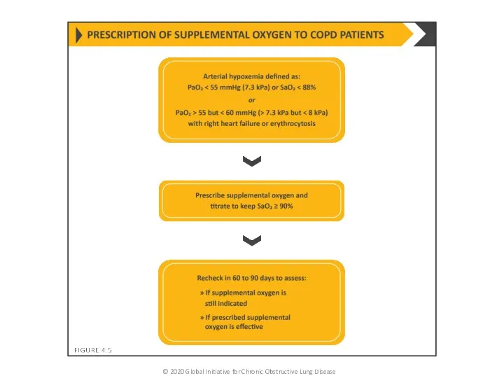 © 2020 Global Initiative for Chronic Obstructive Lung Disease