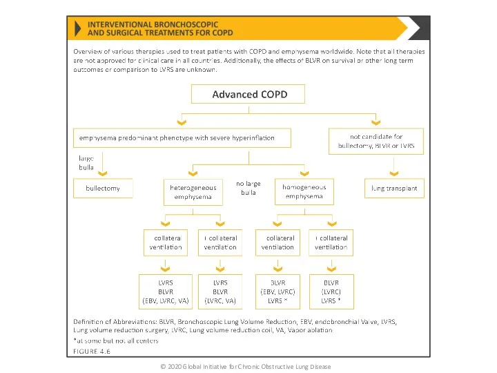 © 2020 Global Initiative for Chronic Obstructive Lung Disease