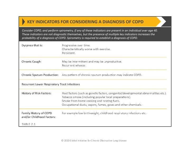 © 2020 Global Initiative for Chronic Obstructive Lung Disease