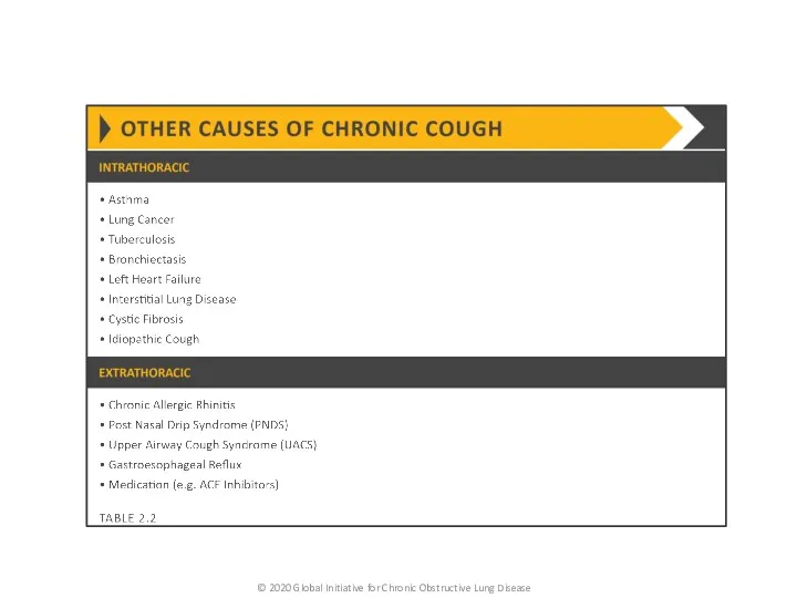 © 2020 Global Initiative for Chronic Obstructive Lung Disease