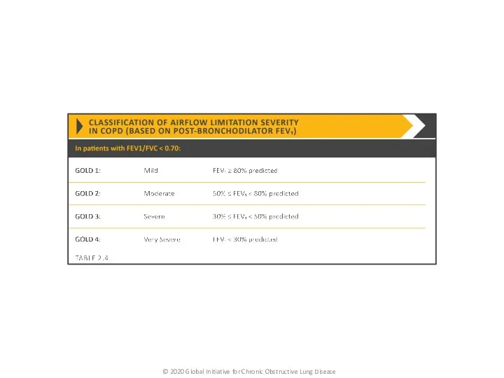 © 2020 Global Initiative for Chronic Obstructive Lung Disease