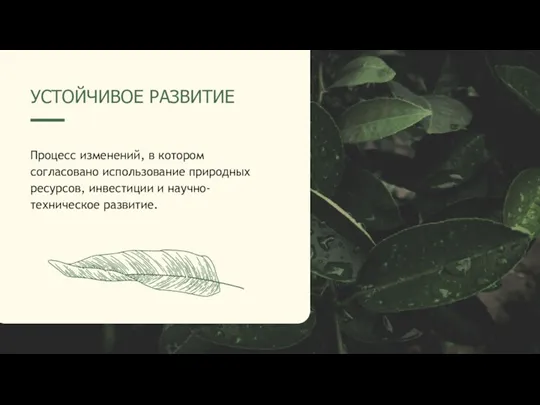 Процесс изменений, в котором согласовано использование природных ресурсов, инвестиции и научно- техническое развитие. УСТОЙЧИВОЕ РАЗВИТИЕ