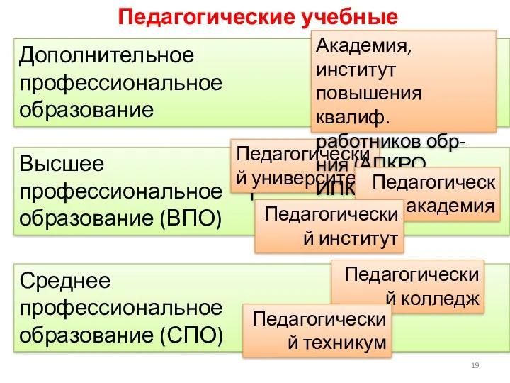 Среднее профессиональное образование (СПО) Педагогические учебные заведения Педагогический колледж Высшее