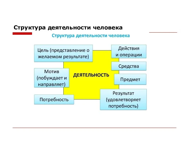 Структура деятельности человека