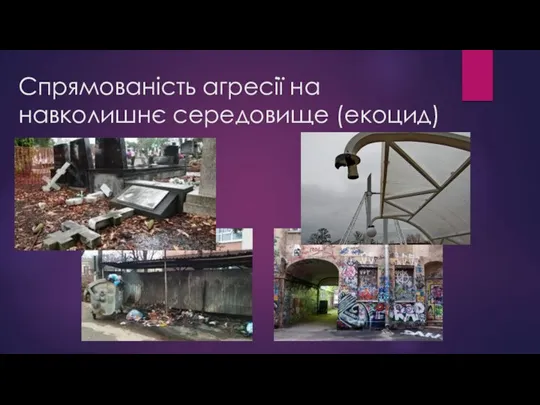 Спрямованість агресії на навколишнє середовище (екоцид)