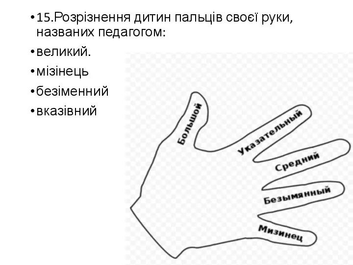 15.Розрізнення дитин пальців своєї руки,названих педагогом: великий. мізінець безіменний вказівний