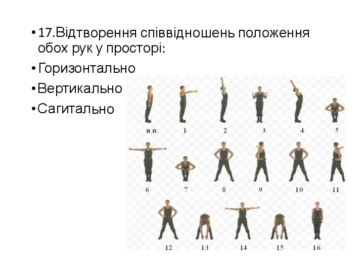 17.Відтворення співвідношень положення обох рук у просторі: Горизонтально Вертикально Сагитально