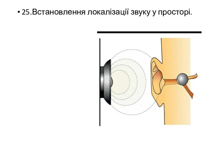25.Встановлення локалізації звуку у просторі.