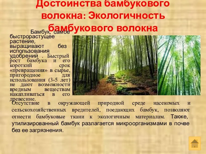 Достоинства бамбукового волокна: Экологичность бамбукового волокна Бамбук, самое быстрорастущее растение,