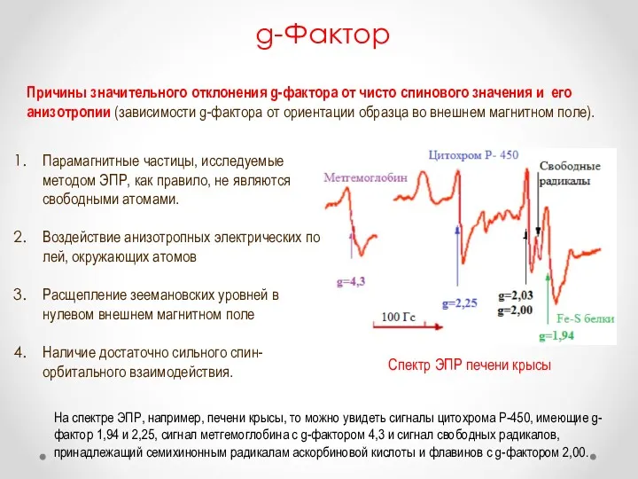 g-Фактор Причины значительного отклонения g-фактора от чисто спи­нового значения и