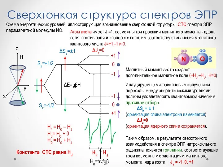 Сверхтонкая структура спектров ЭПР H z x y Sz=+1/2 Sz=-1/2