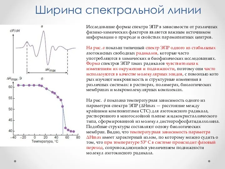 Исследование формы спектра ЭПР в зависимо­сти от различных физико-химических факторов