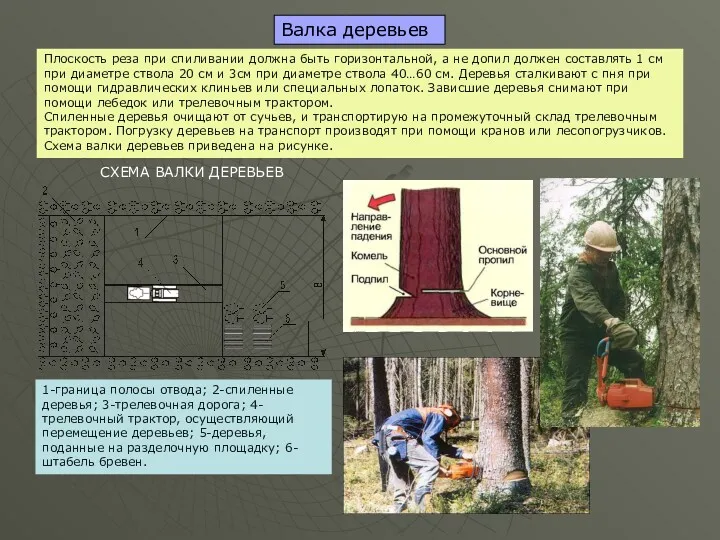 Плоскость реза при спиливании должна быть горизонтальной, а не допил