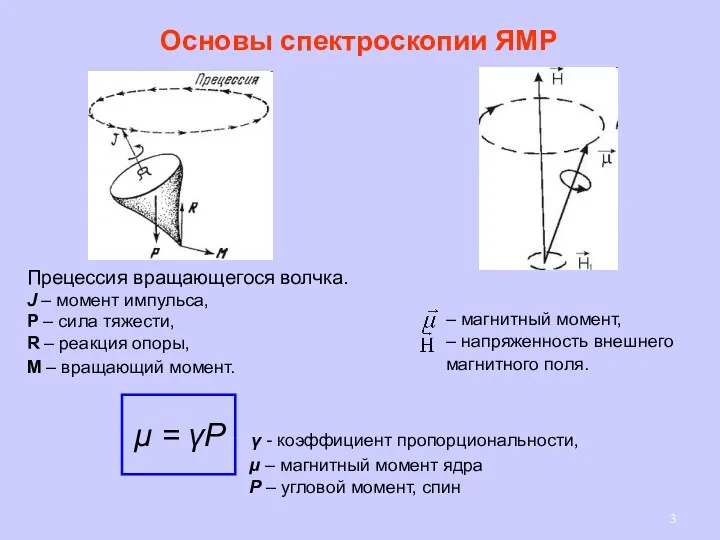 Прецессия вращающегося волчка. J – момент импульса, Р – сила