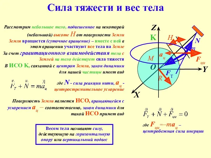 Сила тяжести и вес тела Рассмотрим небольшое тело, подвешенное на