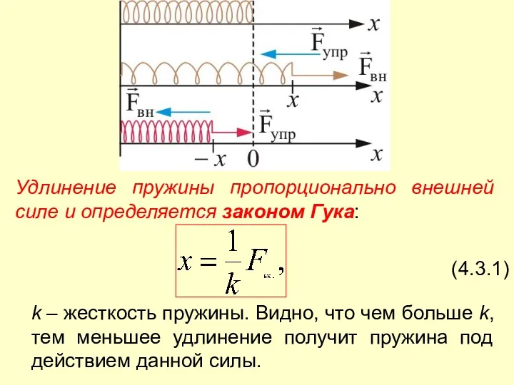 Удлинение пружины пропорционально внешней силе и определяется законом Гука: (4.3.1)