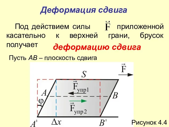 Деформация сдвига Под действием силы приложенной касательно к верхней грани,