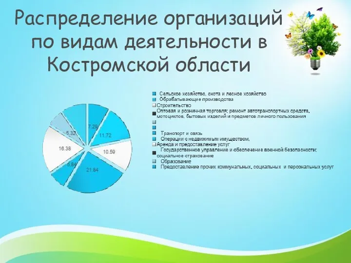 Распределение организаций по видам деятельности в Костромской области