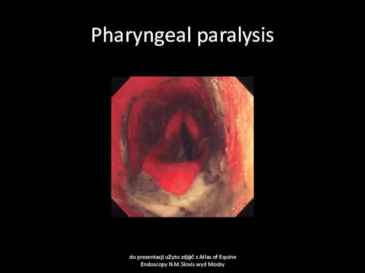 Pharyngeal paralysis do prezentacji użyto zdjęć z Atlas of Equine Endoscopy N.M.Slovis wyd Mosby
